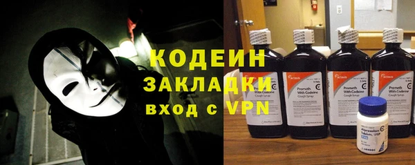 хмурый Верея