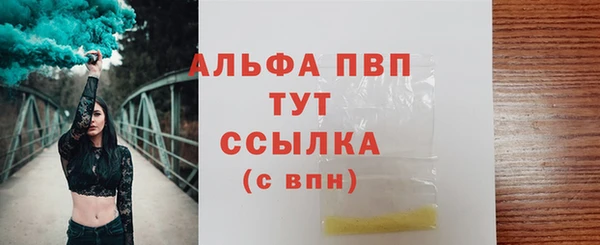 хмурый Верея