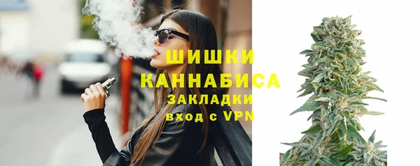 хмурый Верея