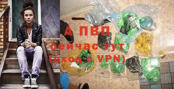 хмурый Верея