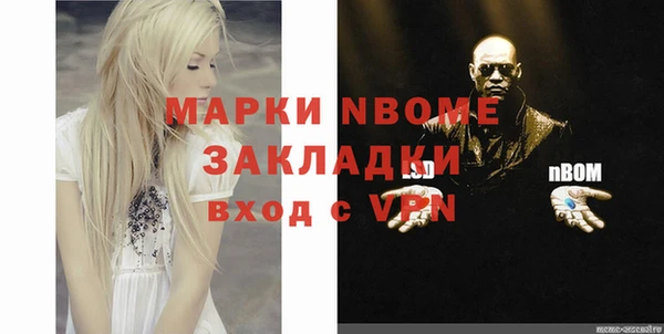 хмурый Верея