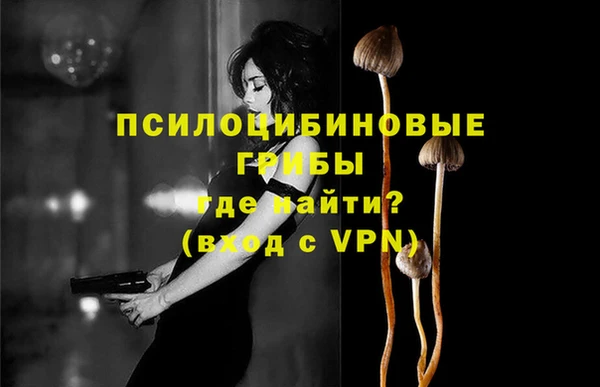 мяу мяу мука Бугульма