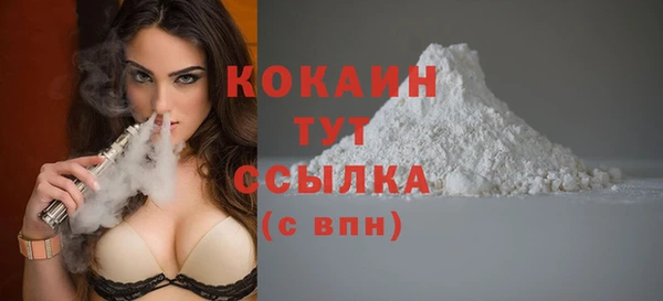 хмурый Верея
