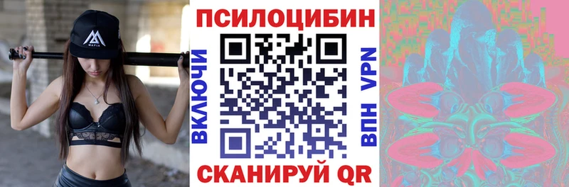Псилоцибиновые грибы Psilocybine cubensis  Гаджиево 
