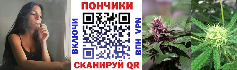 Марихуана индика  Гаджиево 